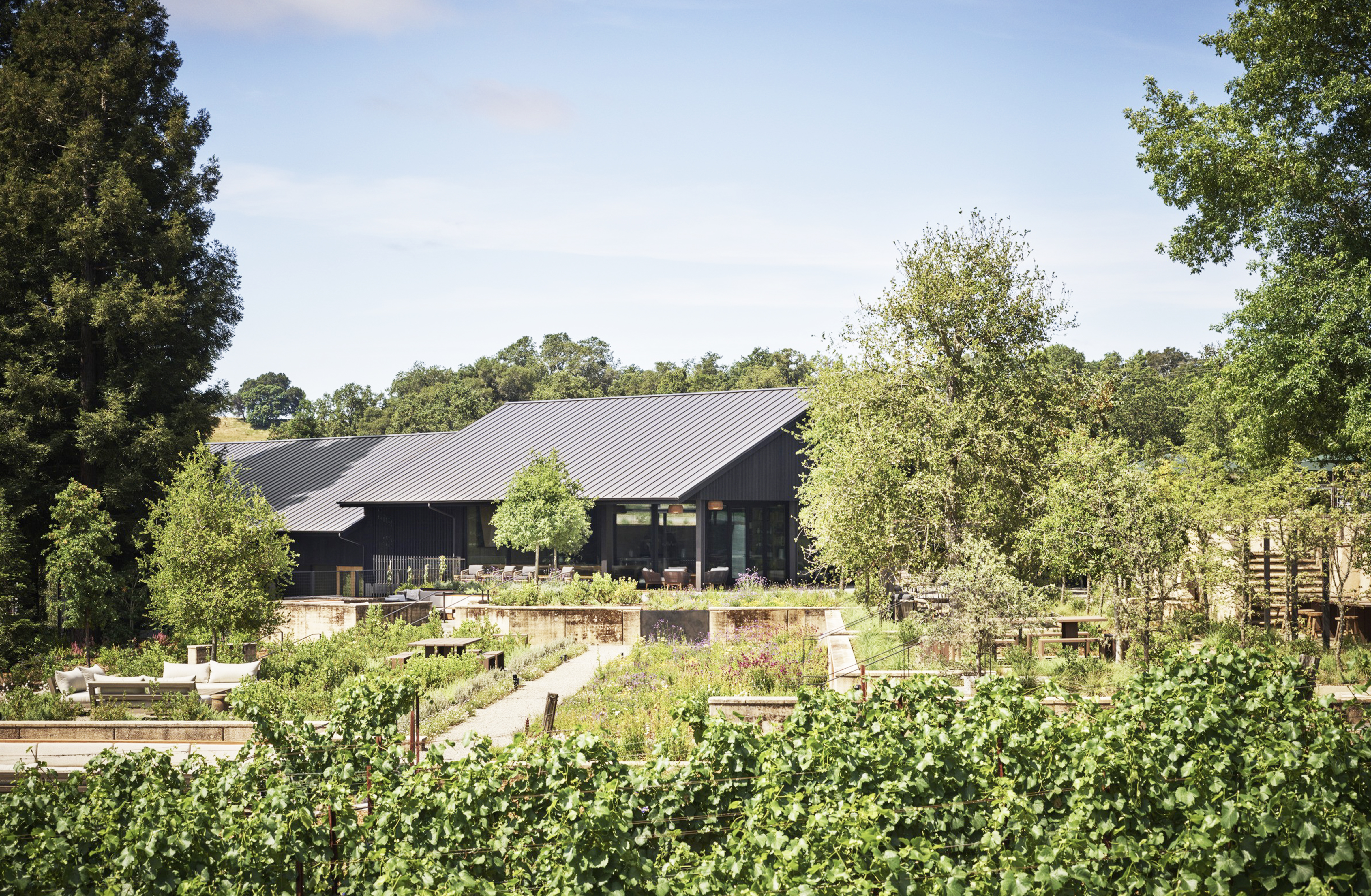 A Vineyard Escape with the Rén Collection inside 1