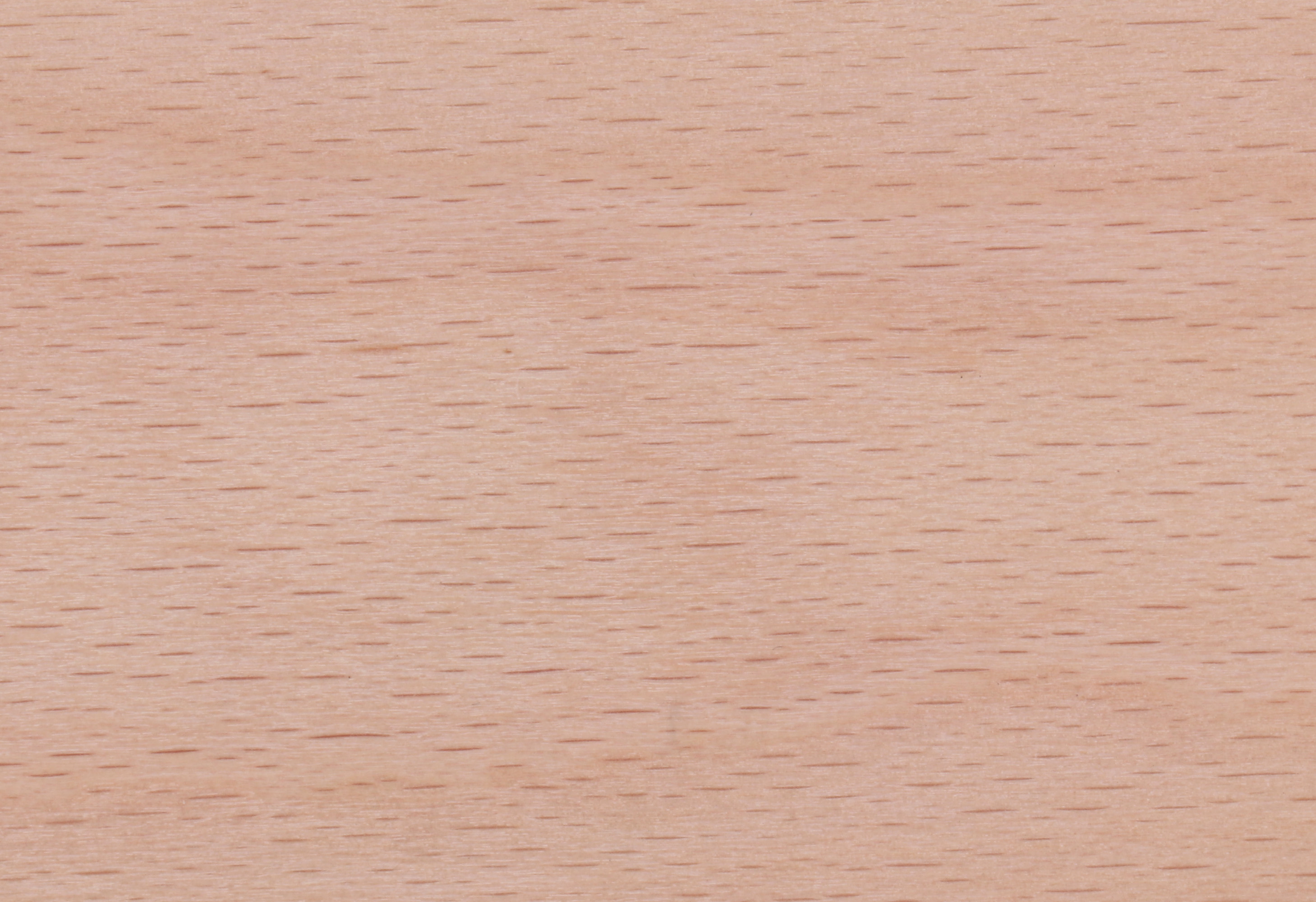 Beech Natural VN-02