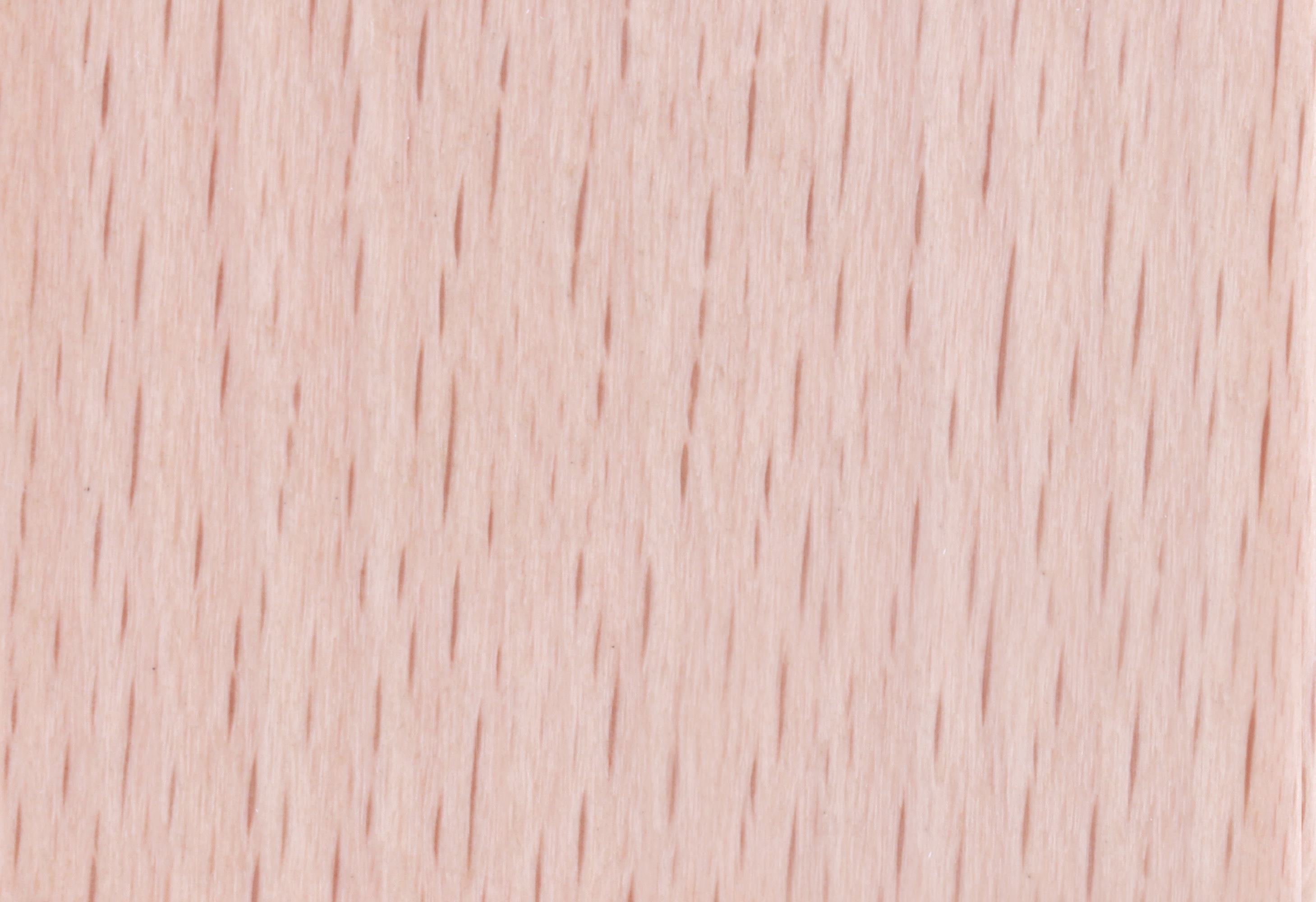 Beech T-06
