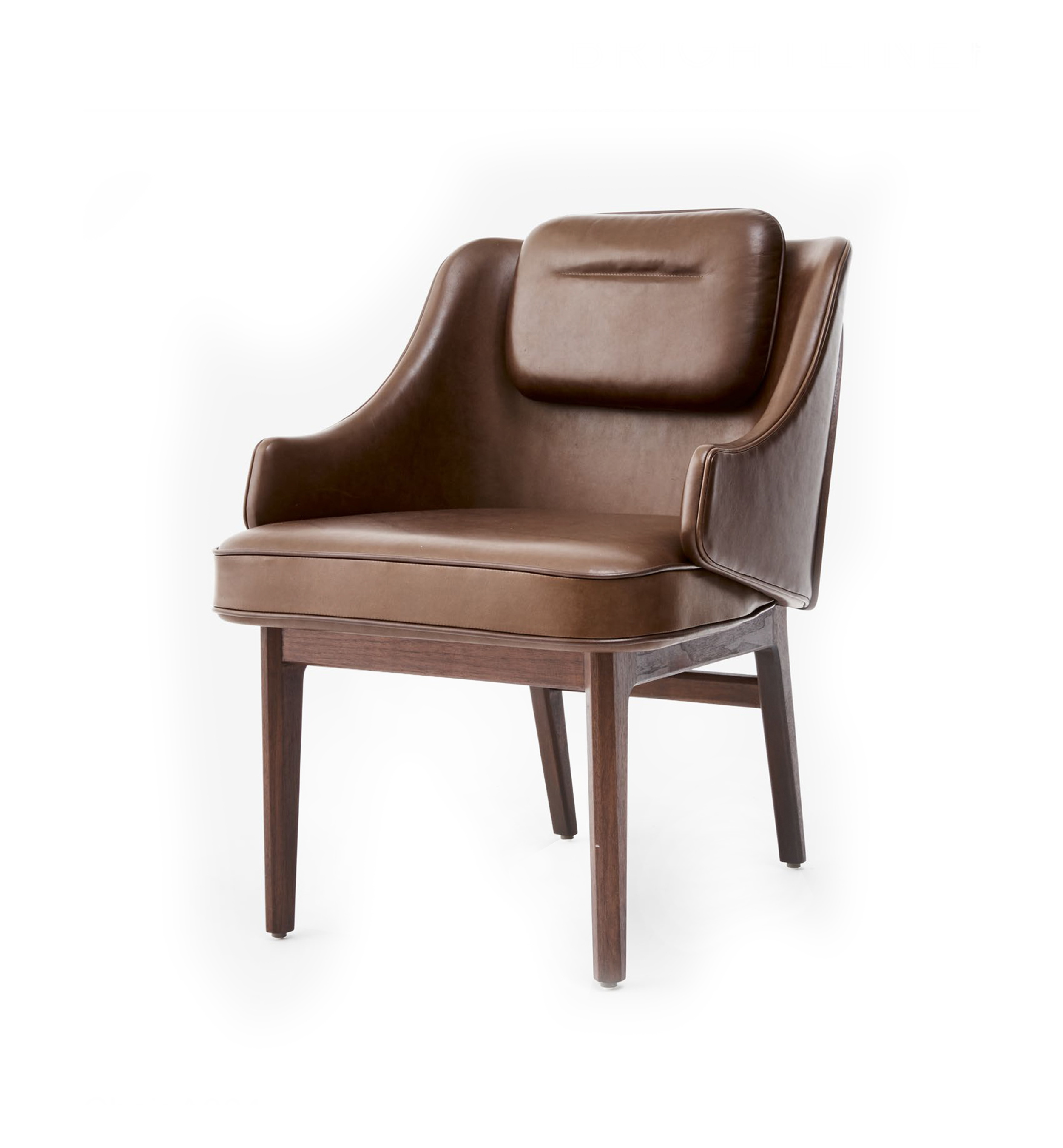 Brightliner Arm Chair with Arms