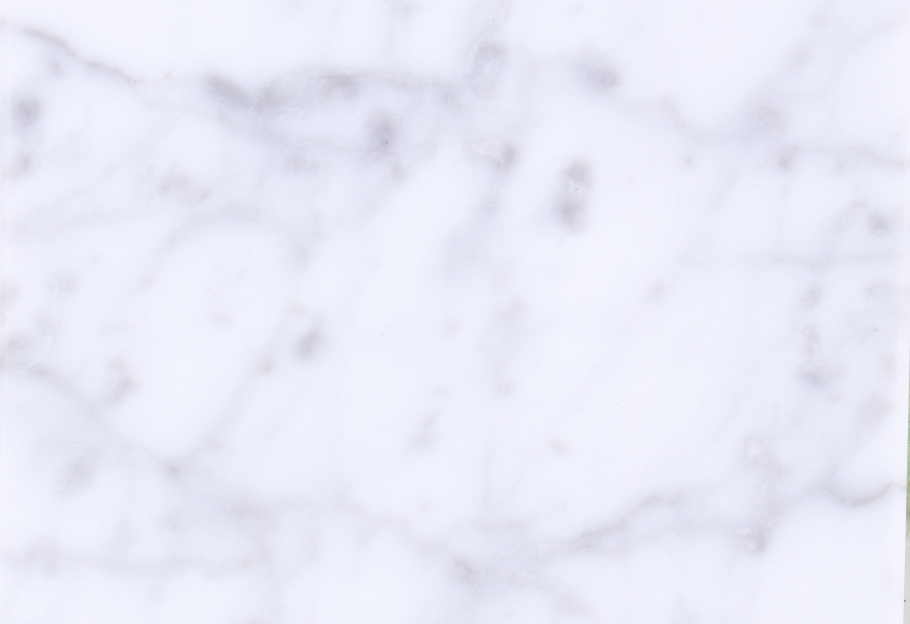 Carrara White ST-13
