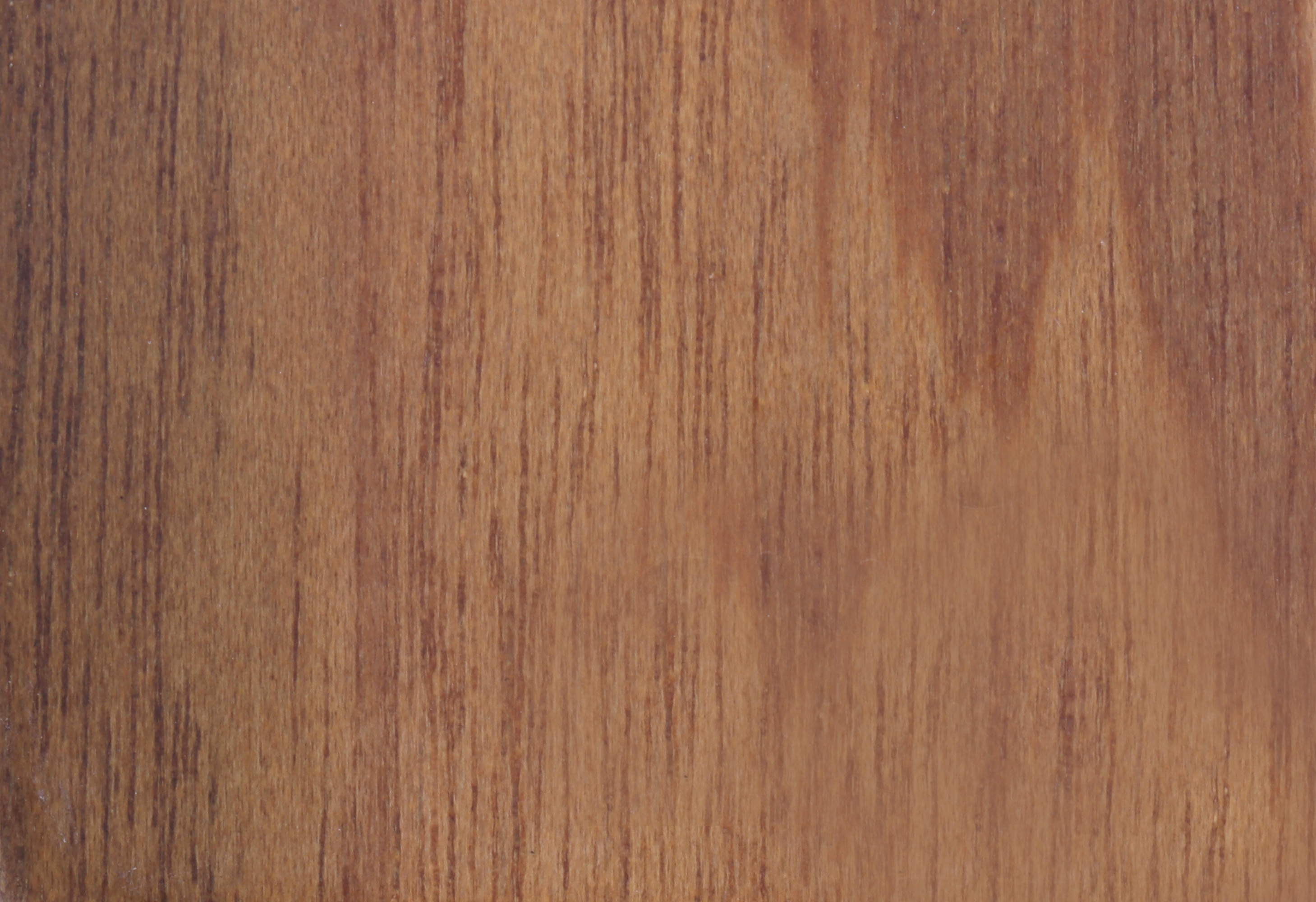 Chinese Teak T-10