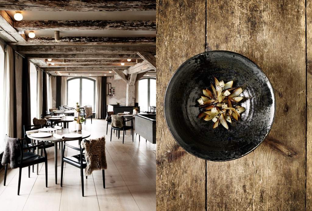 NOMA_compilation-1024x693