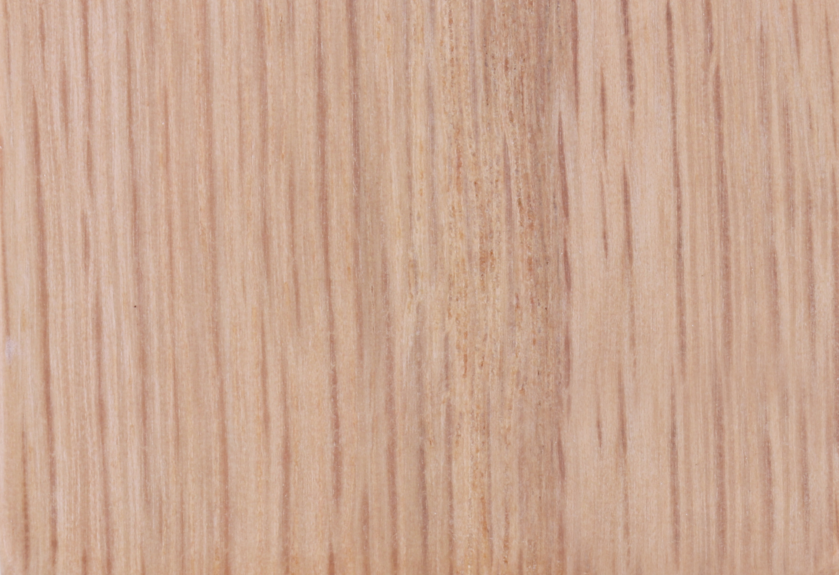Oak T-02