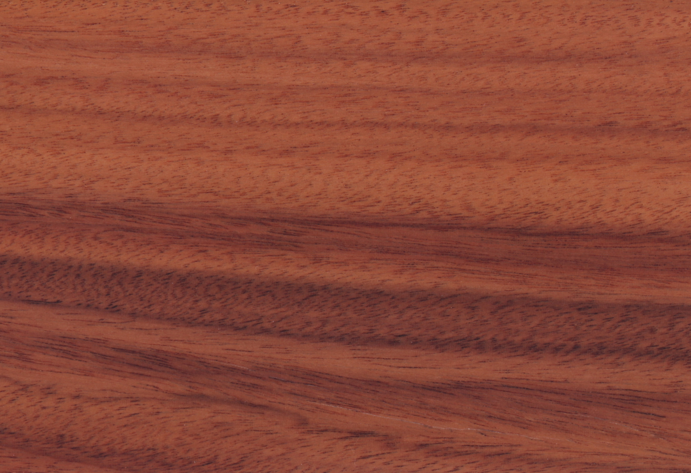 Rosewood Natural VN-11
