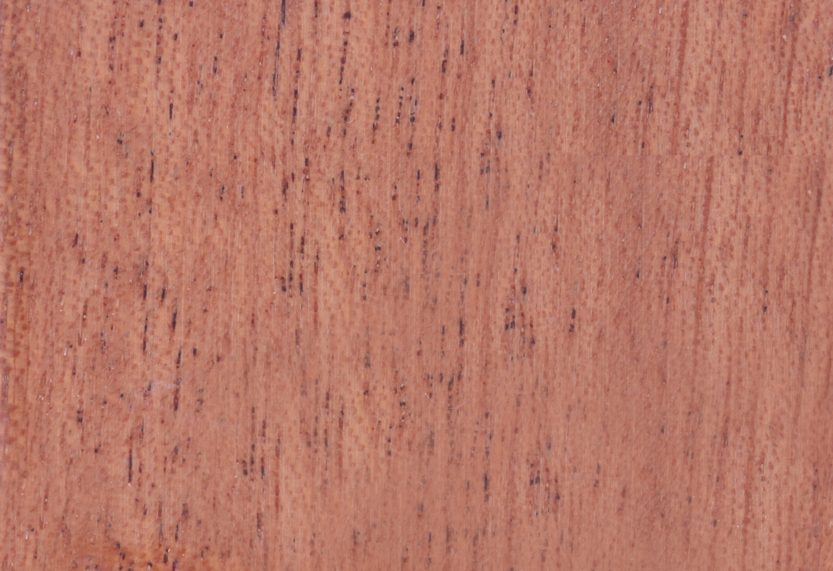 Sapelli Mahogany T-11