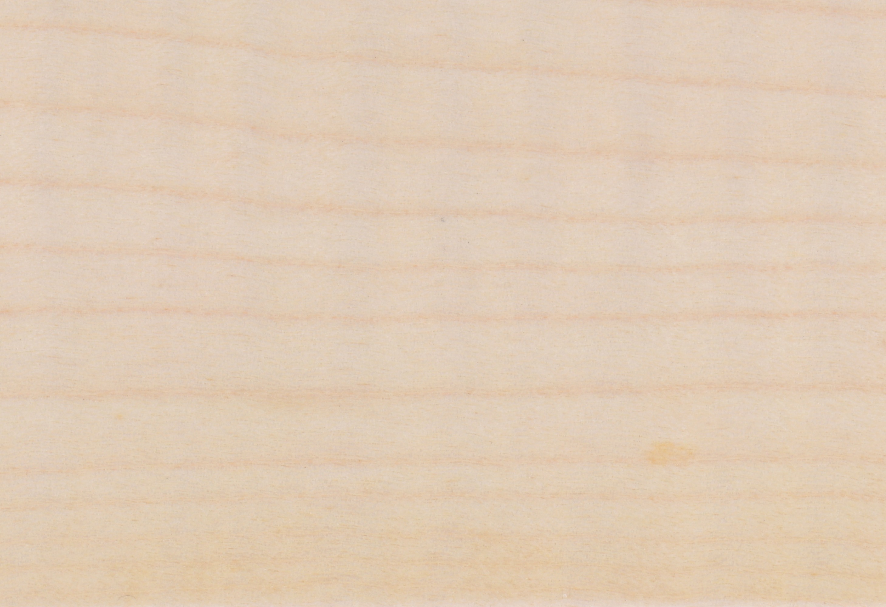 Sycomore Natural VN-03