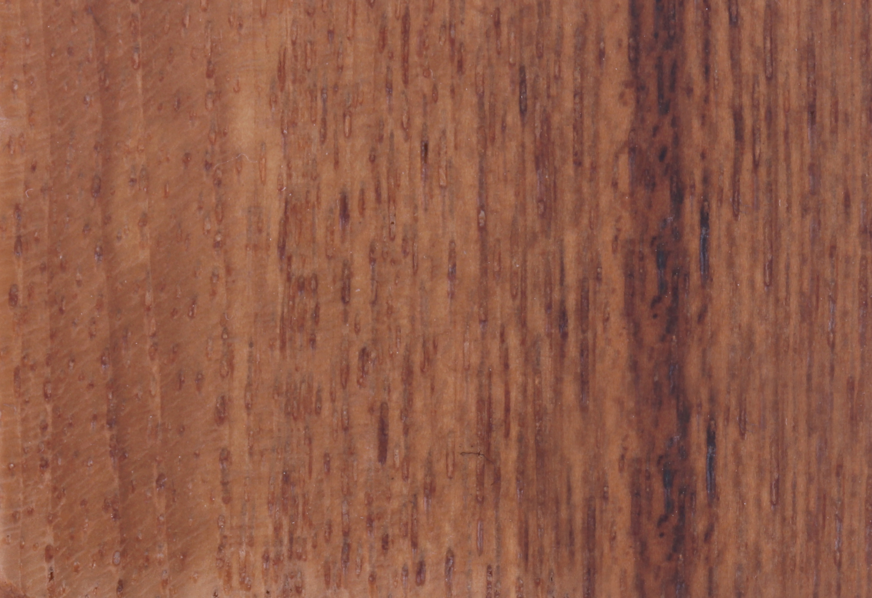 Teak T-09