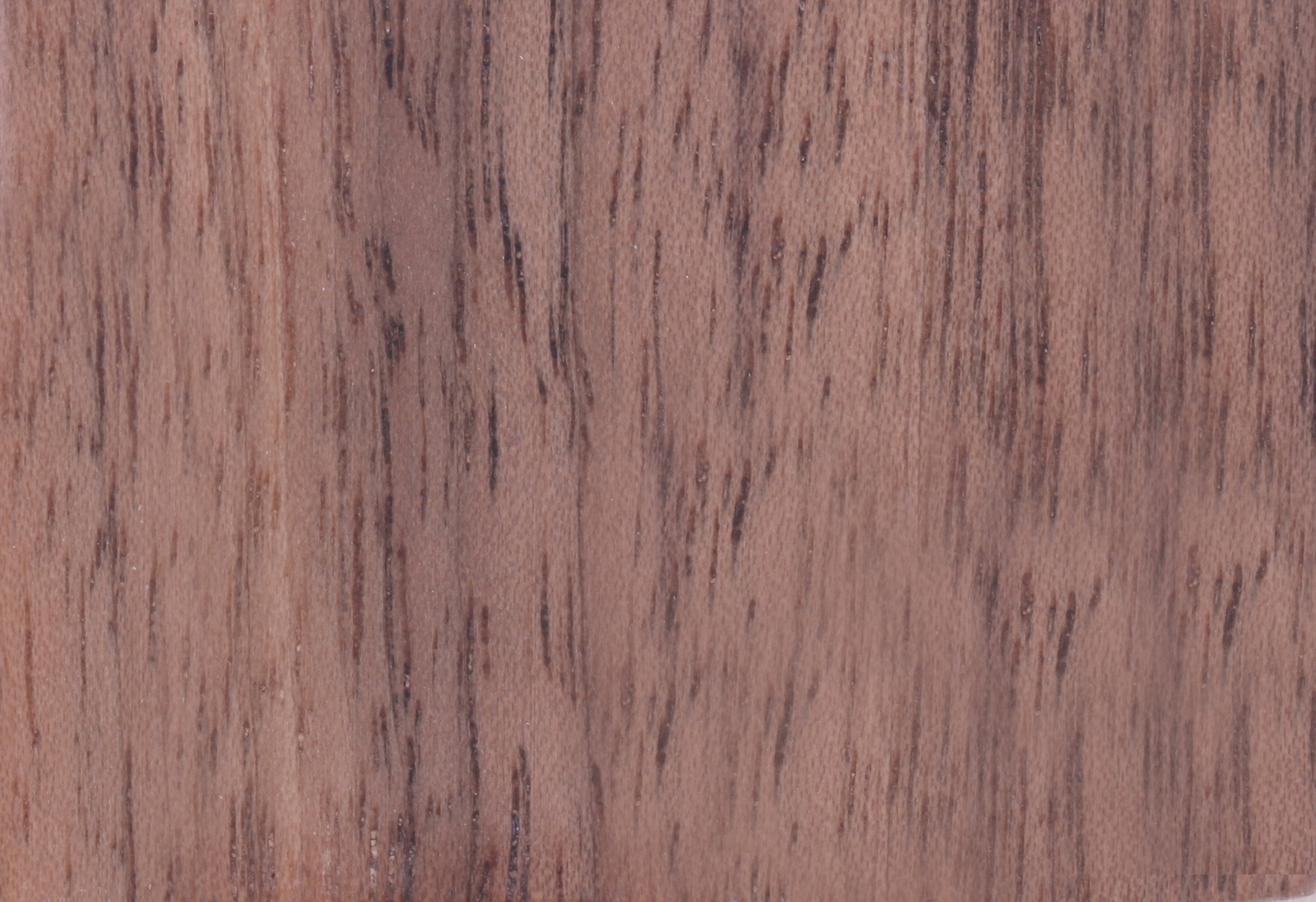 Walnut T-07